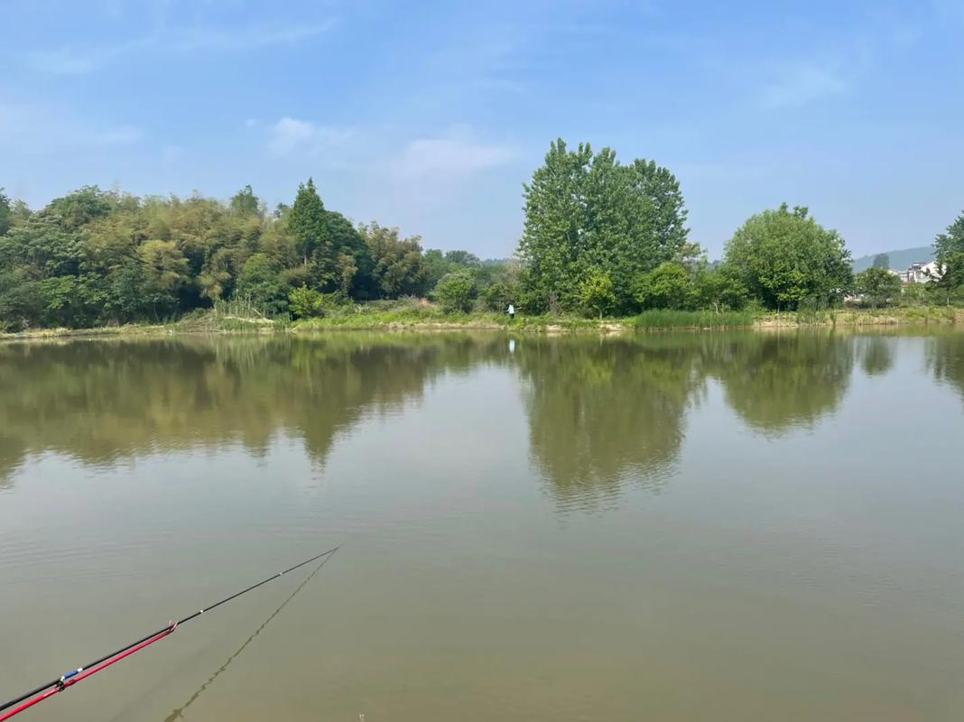 【漲知識(shí)】釣魚專用術(shù)語(yǔ)解析大全